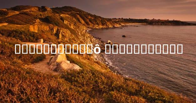 ���ϵ������ʲô �����������